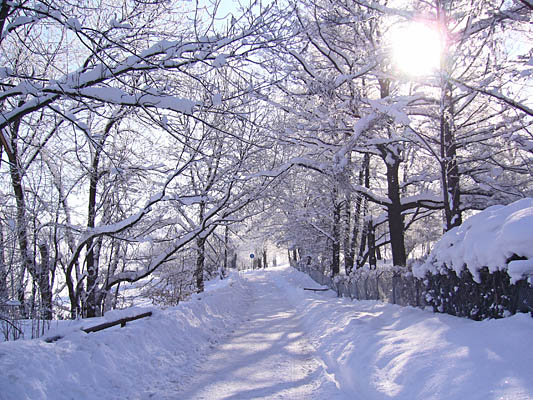 Winterspaziergang um den “Bachtelweiher” 2006